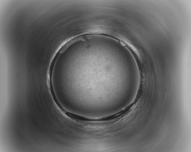 X0000096641468200802051118