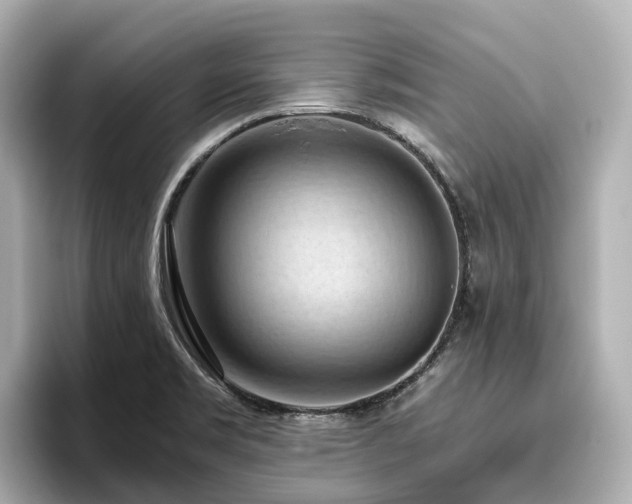X0000096641469200802051118