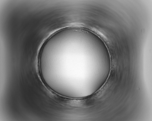 X0000096641470200802051118