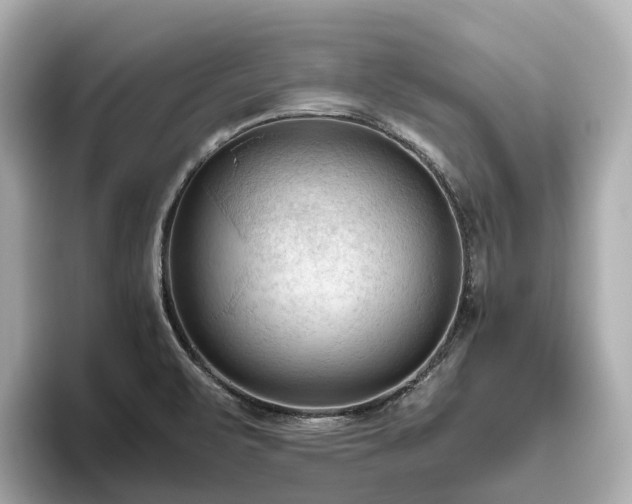 X0000096641471200802051118