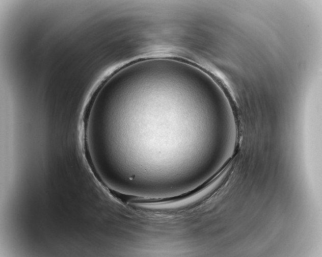 X0000096641472200802051118