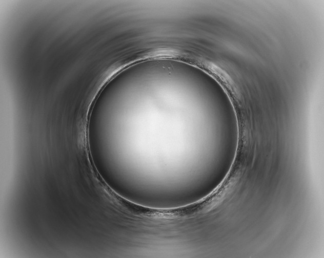 X0000096641473200802051118