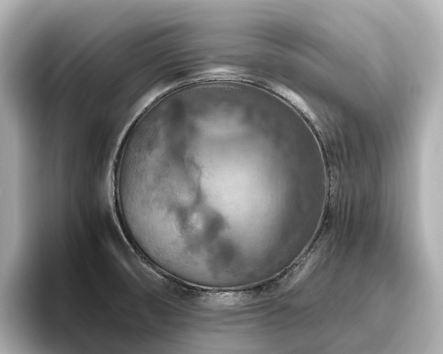 X0000096641474200802051118
