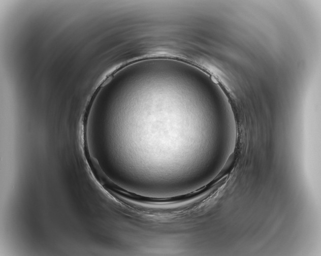 X0000096641476200802051118