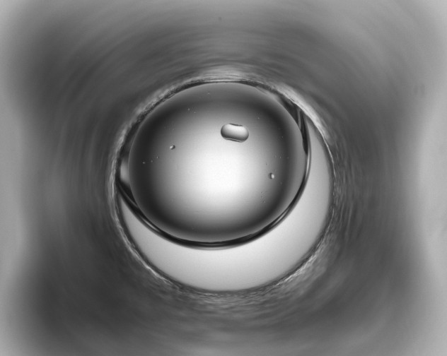 X0000096641477200802051117