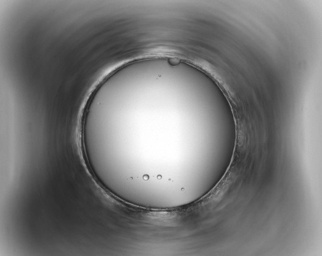 X0000096641478200802051117