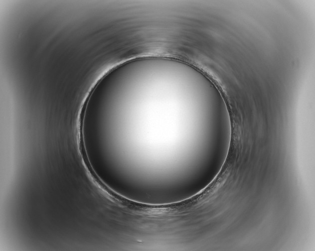 X0000096641479200802051117