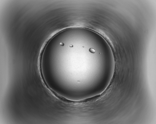 X0000096641480200802051117