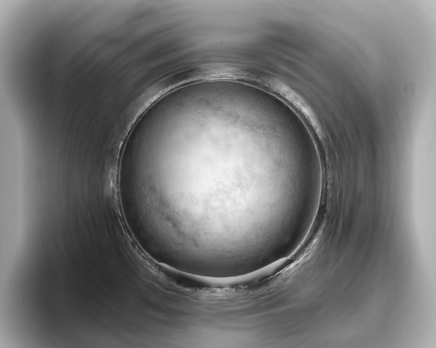 X0000096641481200802051117