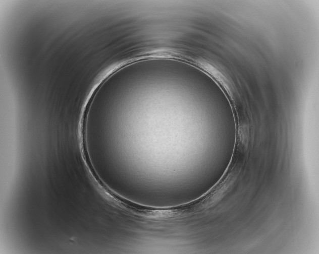 X0000096641482200802051117