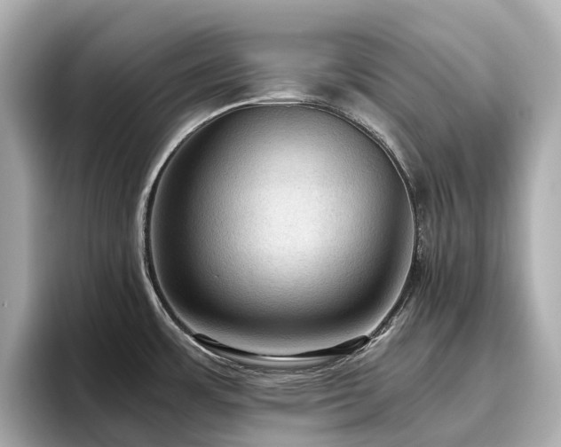 X0000096641483200802051117
