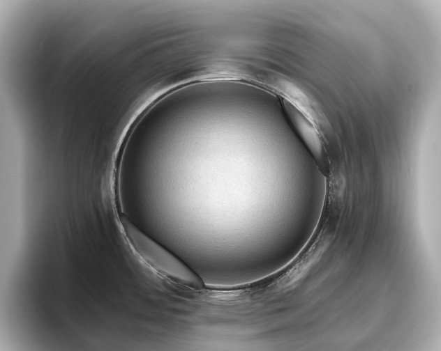 X0000096641484200802051117