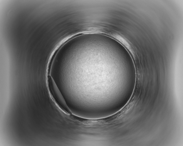 X0000096641485200802051117