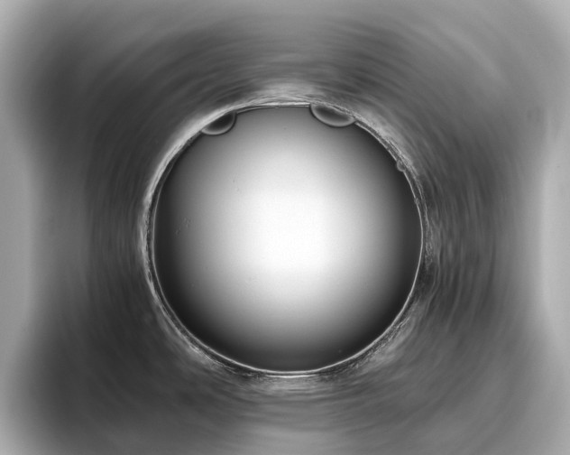 X0000096641486200802051117