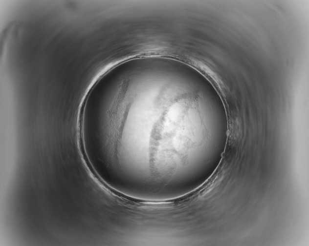X0000096641487200802051117