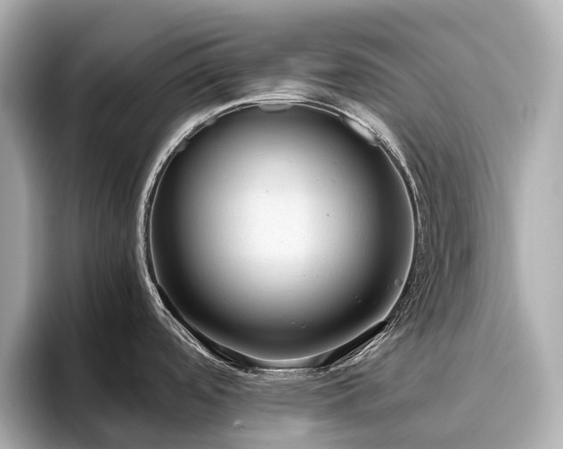 X0000096641488200802051117