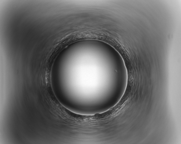 X0000096641490200802051117