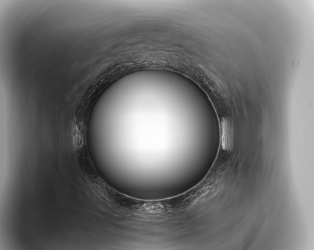 X0000096641491200802051117