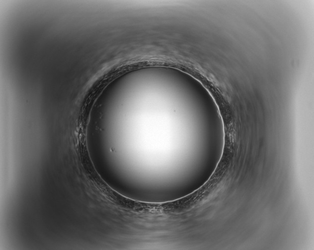 X0000096641495200802051117