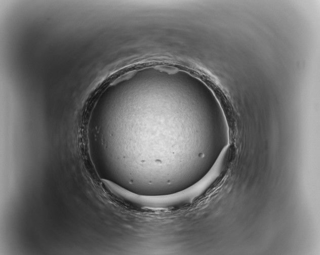 X0000096641496200802051117