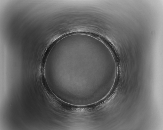 X0000096641497200802051117