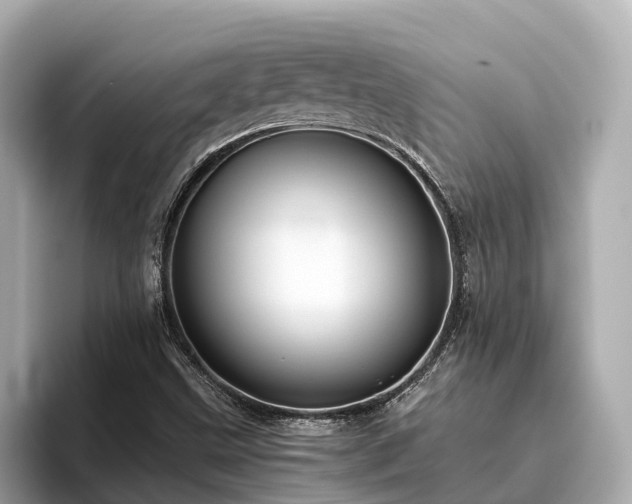 X0000096641499200802051117