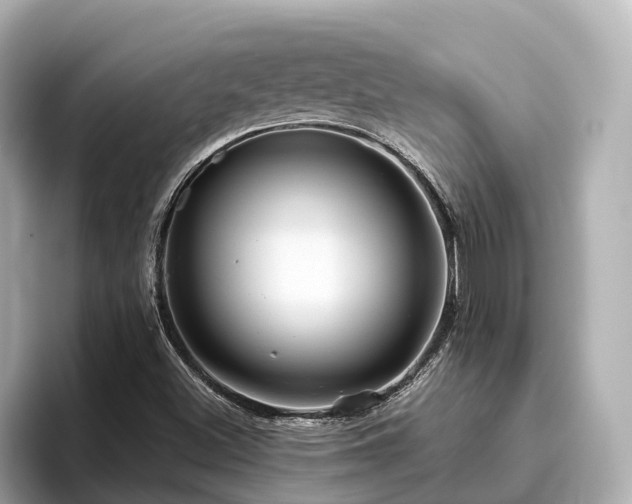 X0000096641500200802051117