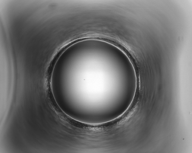 X0000096641501200802051117