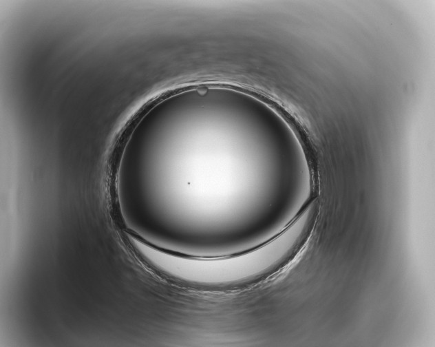 X0000096641502200802051117