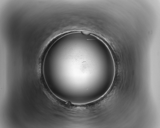 X0000096641503200802051117