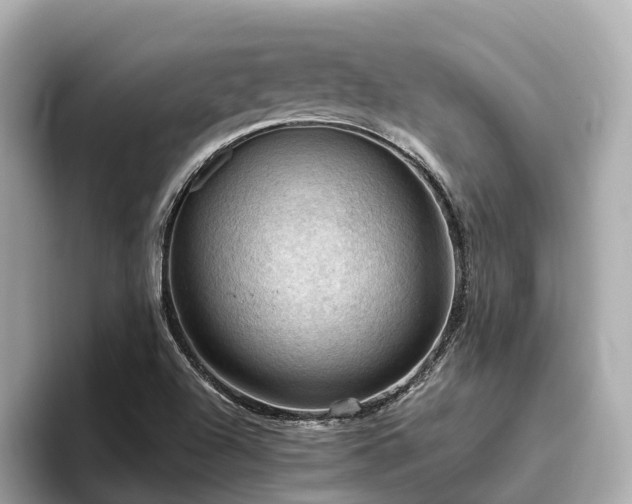 X0000096641504200802051117