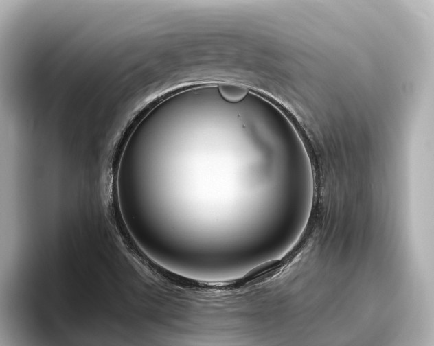 X0000096641507200802051117