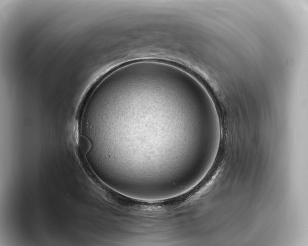 X0000096641509200802051117