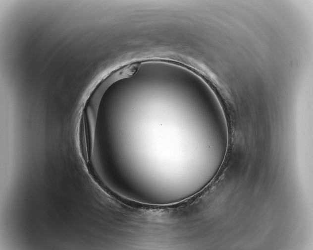 X0000096641512200802051117