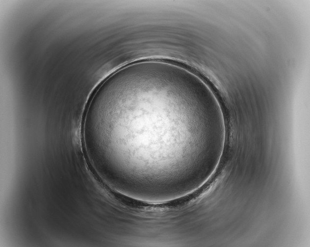 X0000096641513200802051117