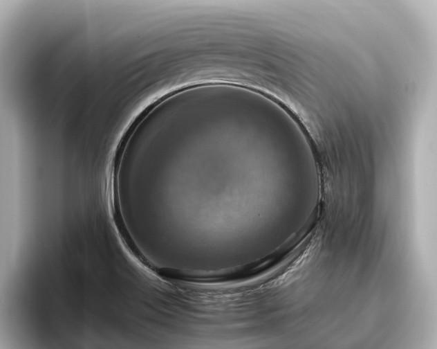 X0000096641515200802051117