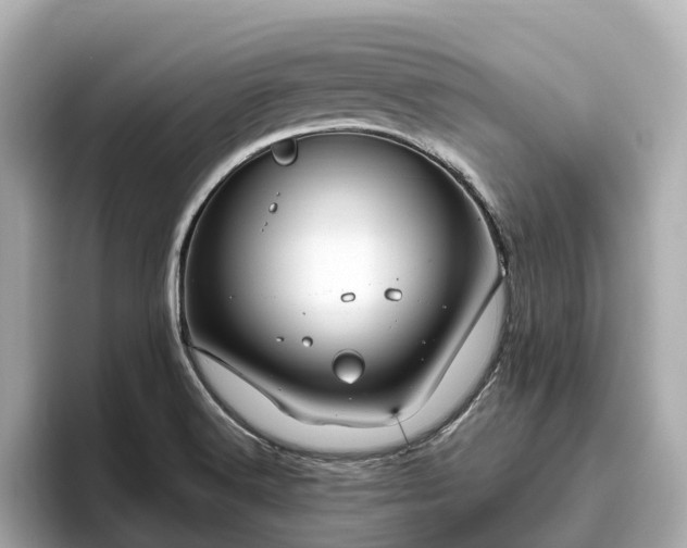 X0000096641516200802051117