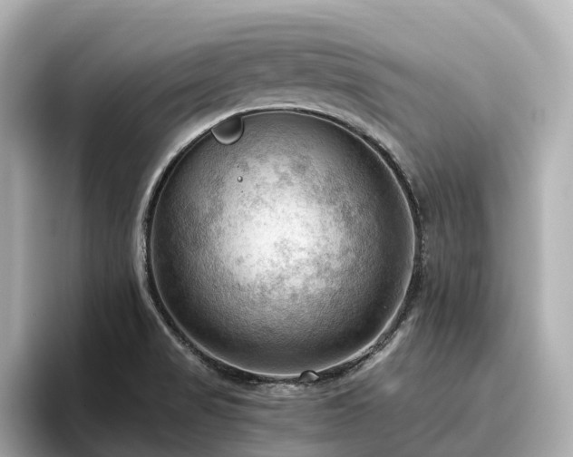 X0000096641517200802051117