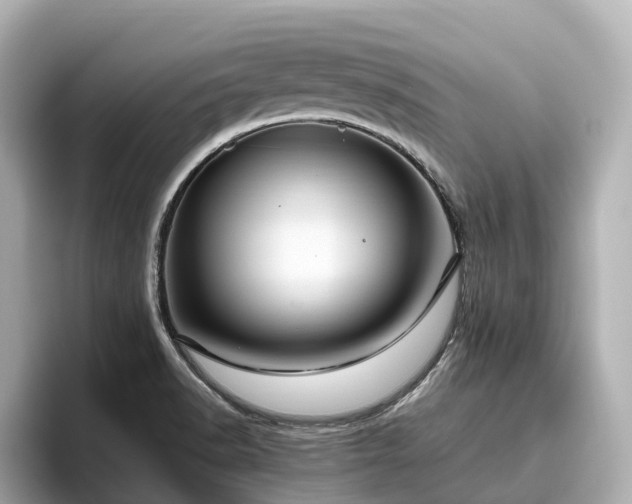 X0000096641518200802051117
