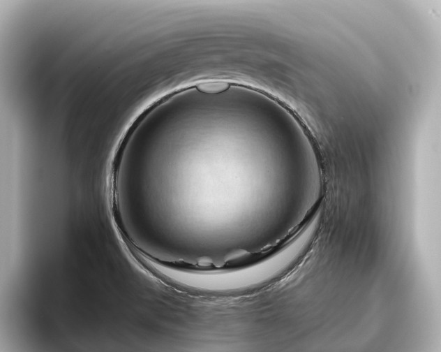 X0000096641519200802051117