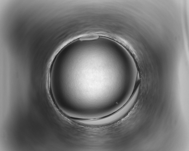 X0000096641520200802051117