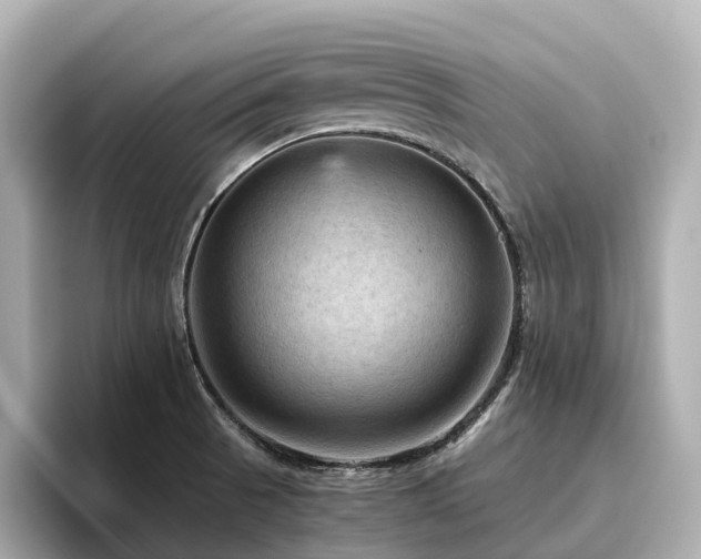 X0000096641521200802051117