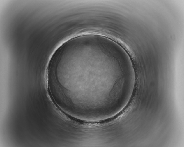 X0000096641522200802051117