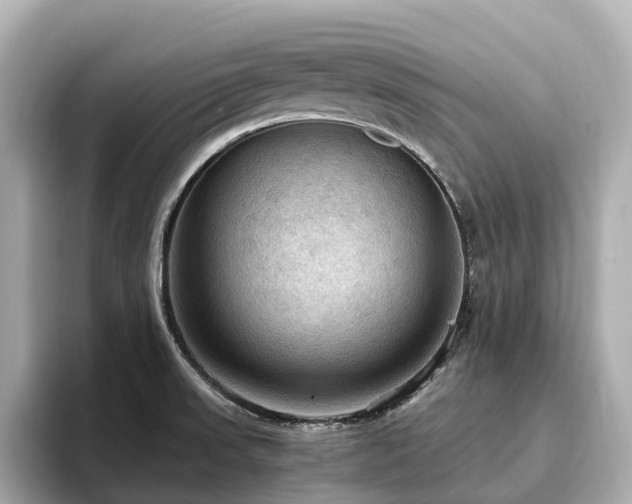 X0000096641523200802051117