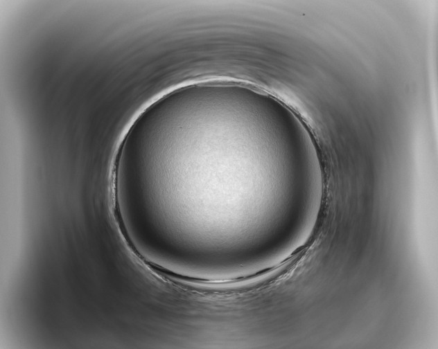 X0000096641524200802051117