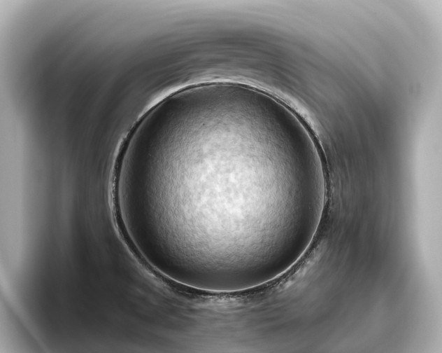 X0000096641525200802051117