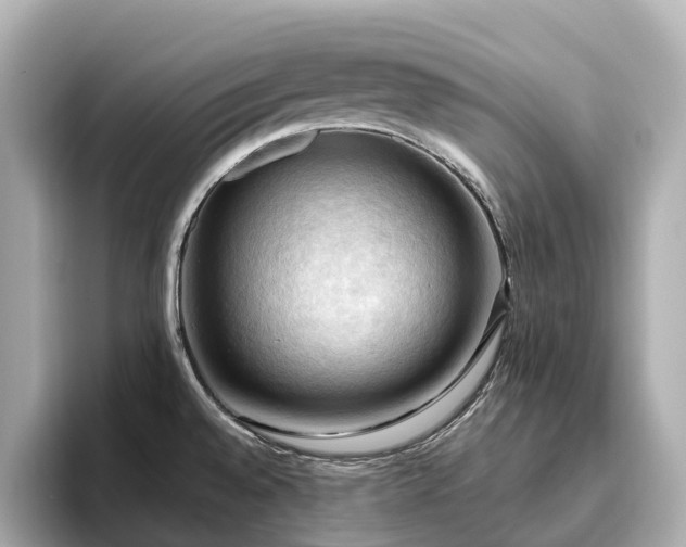X0000096641528200802051117