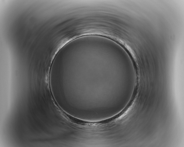 X0000096641529200802051117