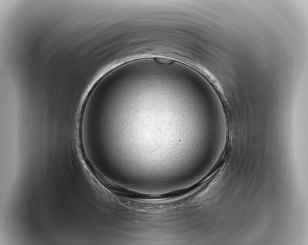 X0000096641530200802051117