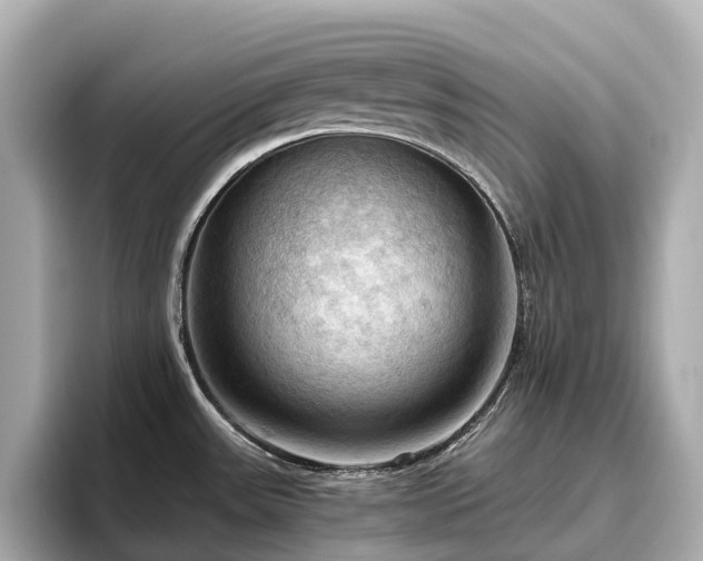 X0000096641531200802051117
